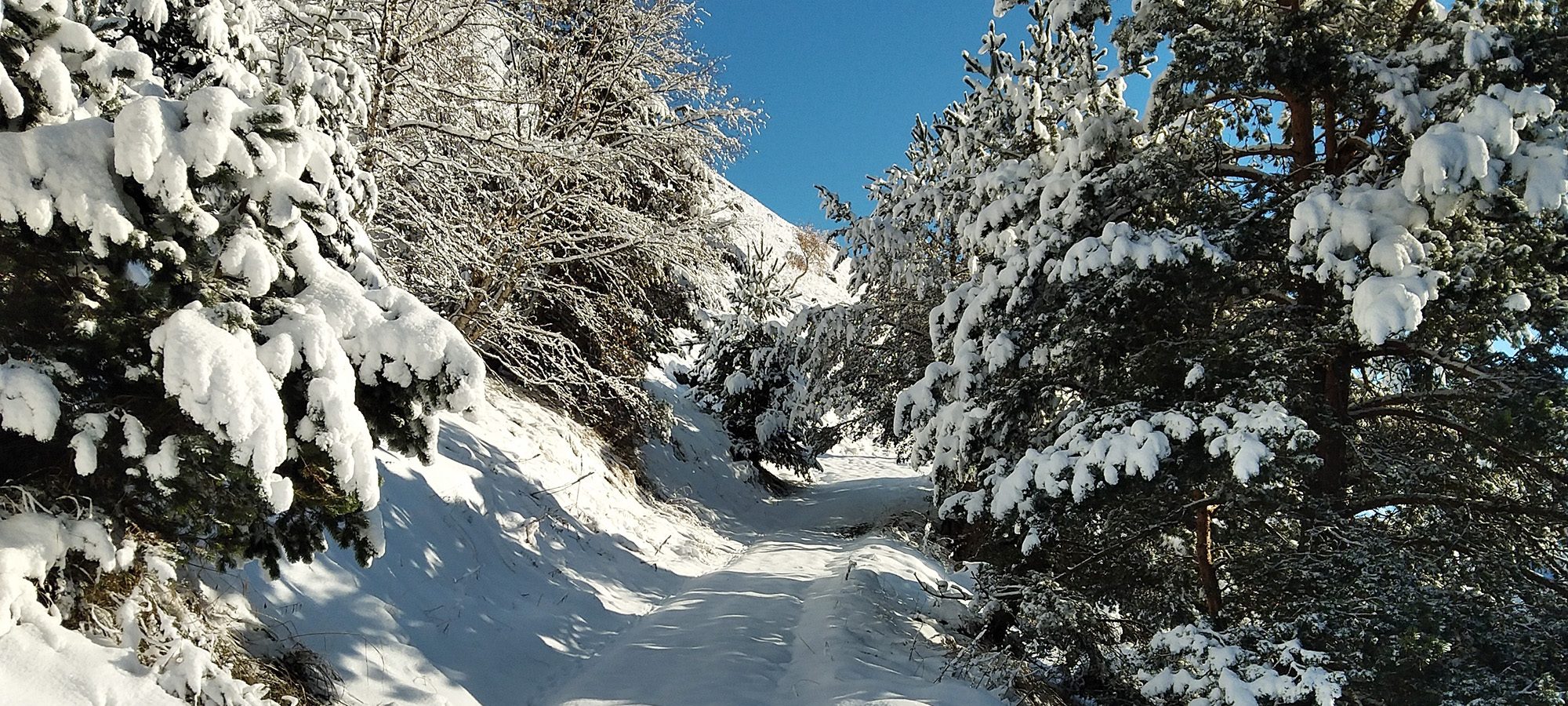 activites-hiver-hotel-la-sapiniere-saint-lary-02